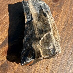 Natural Petrified Wood Stone